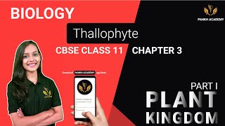 Thallophyte Class 11 Biology Chapter 3  Plant Kingdom  Pankh Academy Part 1 [upl. by Amelus365]