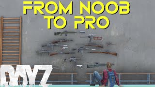 DayZ Beginners Weapons Guide [upl. by Nipha133]