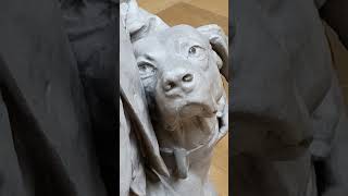 Dogs in works of art at the Palais des Beaux Arts Lille dogs art [upl. by Llerrehc]