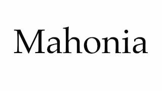 How to Pronounce Mahonia [upl. by Yeltrab]