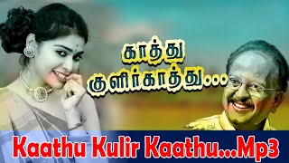 Kaathu kulir kaathu Mp3 song காத்து குளிர் காத்து  aatumanthai spbsongs tamilhitsongs [upl. by Jeni]