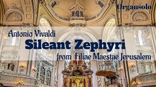 A Vivaldi Aria quotSileant Zephyri from Filiae Maestae Jerusalem RV 638 Arr M Machella [upl. by Einal]