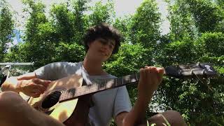 Stick Season  Noah Kahan Guitar Cover by Luca [upl. by Rollin]