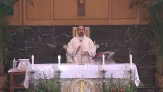 St Petronille LiveStream  Rosary amp Mass Thursday 730 AM August 8 2024 Saint Dominic Priest [upl. by Lenahs]