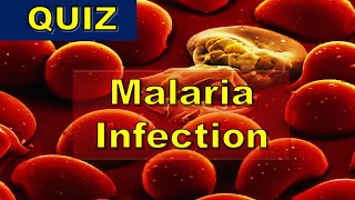 How to identify Malaria Parasites P falciparum P vivax P ovale P malariae P knowlesi [upl. by Wanfried]