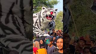 Macan putih karnaval desa jambe 2024 [upl. by Ettenahc]