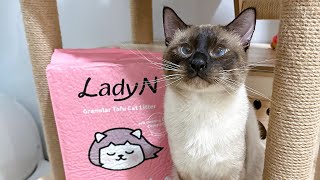 Lady N Tofu Cat Litter Review  Why we switch from Bentonite Litter to Tofu Litter [upl. by Anilah]