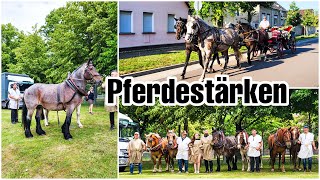 Kein Druschtag🌾  Halbkugelversuch  4spännig auf die Straße🐴 [upl. by Milone]