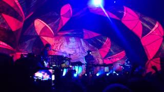 Animal Collective  Bluish Live in Boston 3713 LIVE DEBUT Clip [upl. by Airdna]