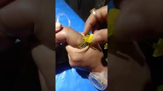 Iv Cannula ventilator newbornbaby viralvideo ivcannula cute medicaldevice medicalequipment [upl. by Erdnaed]