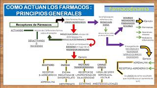 TEMA 3FARMACODINAMIA RECEPTORES FARMACOLOGICOS e introduccion a los AGONISTAS Y ANTAGONISTAS [upl. by Trici]