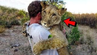 Man saves tiny lioness abandoned by own mom Now they are inseparable [upl. by Arraeit]