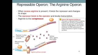 Gene Regulation [upl. by Annwahs]