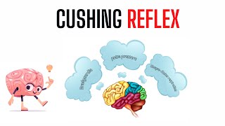 Cushing Reflex triad in critically ill patients [upl. by Assirehs]