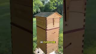 Beekeeping 🍯 The Secret to Getting Bees to Build Comb on Flow Hive 🐝flowhive beekeeping bees [upl. by Strait]