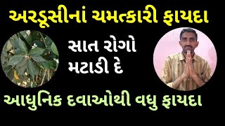 અરડૂસીનાં ચમત્કારી ફાયદા  પોણો ડઝન રોગો તાત્કાલીક મટાડી દે  અરડૂસી ના પાન નો ઉપયોગ [upl. by Waddell]