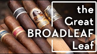 Five different Connecticut Broadleaf Cigars [upl. by Karlin]