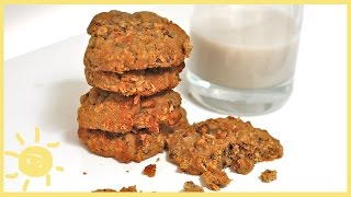 EAT  Oatmeal Chocolate Chip Lactation Cookie [upl. by Holofernes108]