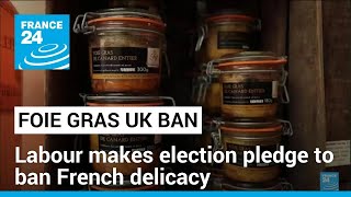 Labour plans to ban UK imports of French foie gras • FRANCE 24 English [upl. by Mohandis]