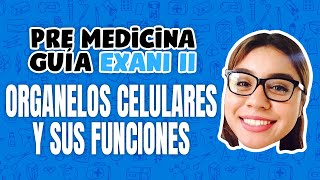 Premedicina EXANI II Organelos celulares y sus funciones [upl. by Adena]