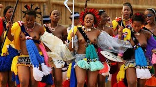 Traditional zulu dance [upl. by Ahseiyn]