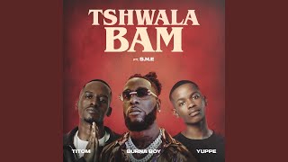 Tshwala Bam feat SNE [upl. by Pascoe532]