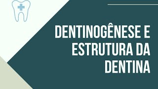 Dentinogênese e estrutura da dentina [upl. by Ydnec]