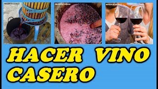 Como Hacer Vino CASERO  Todo Huerta y Jardín [upl. by Nodyarg548]