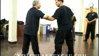 Master Fung Teaching Yi Chuan [upl. by Ettenaej762]