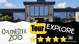 Colchester Zoo Tour Explore  100s of animals  Worth Visiting 👍 Best Zoo in the UK zoo animals [upl. by Norrehc888]