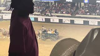 Westerfield Belgiums￼ Kentucky Rodeo 2024 part 2 [upl. by Ymerrej988]