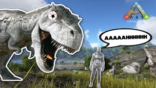 Ark Jumpscare Compilation  Funny Moments [upl. by Bury587]