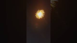 Master 6quot shell firework [upl. by Anny80]