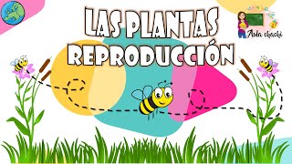 Las Plantas  Reproducción  Aula chachi  Vídeos educativos para niños [upl. by Nileve]