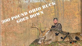 300 POUND Ohio Whitetail with a bow [upl. by Lucic]