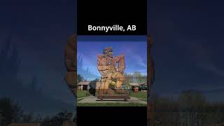 Random Canadian towns Bonnyville AB shorts shortsfeed canada [upl. by Tannenbaum]