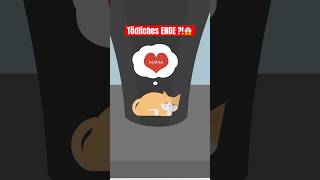 Grausames Katzenexperiment😢🐈 shorts experiment evolution katze bildung wissen emotional [upl. by Naillig]