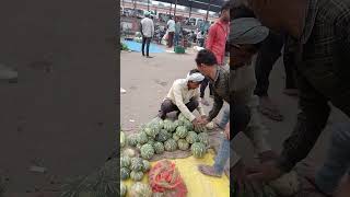 barabanki sabji mandi [upl. by Leilah283]