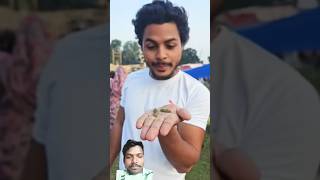 कीड़ा 🐛 बेटे को मेला 🤩 घुमाया comedy insect NasimAlamk0 [upl. by Danuloff]