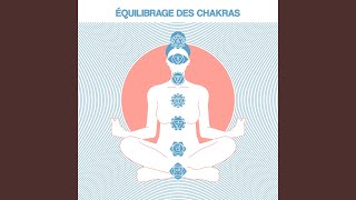 Méditation du chakra racine [upl. by Odysseus]