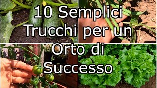 10 Semplici Trucchi per un Orto di Successo [upl. by Ulyram]