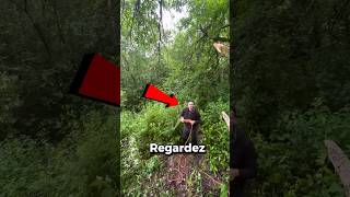 Voici la meilleure façon dattacher une corde sur un arbre 🌳 [upl. by Boesch]