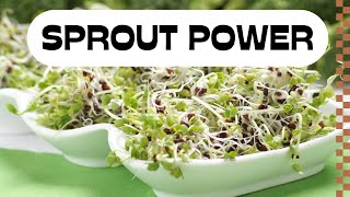 The 1 Reason Broccoli Sprouts Should Be Your New Daily Habit [upl. by Atazroglam]