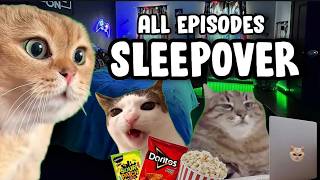 CAT MEMES SLEEPOVER COMPILATION [upl. by Delahk318]