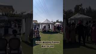 Best Wedding Planner In Chandigarh 8559059292 shorts bestweddingplannerinchandigarh weddingdecor [upl. by Rosana962]