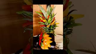 Best Design For Fun Thanksgiving food healthylifestyle [upl. by Ellita]