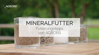 Mineralfutter für Pferde  Fütterungstipps von AGROBS [upl. by Beckman]