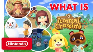 What Is Animal Crossing New Horizons A Guide for the Uninitiated [upl. by Molloy]