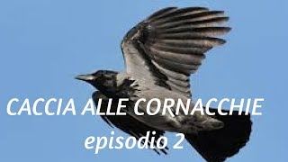 Caccia alle cornacchie in preapertura 2017 seconda parte [upl. by Eleonore881]