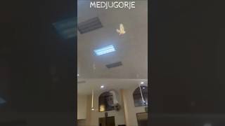 ❤️ MEDJUGORJE  Un encuentro divino La paloma que se posa sobre la cabeza de Jesús en la iglesia [upl. by Eed334]